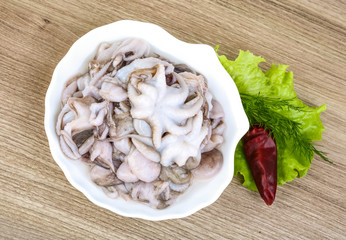 Raw baby octopus