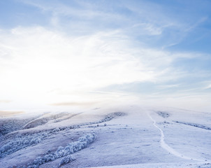 Fototapeta na wymiar winter snowbound plain at the morning