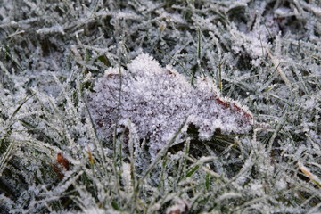 Frost