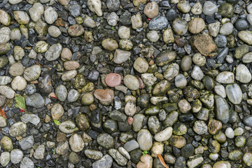 rock
