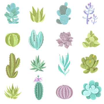 Cactus Icons Set 