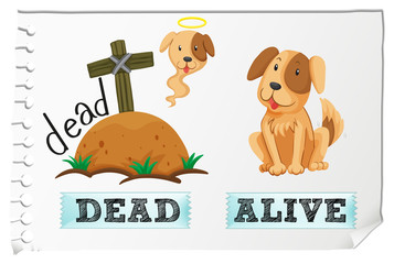 Opposite adjectives dead and alive
