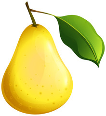 Fresh pear with stem