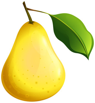 Pear Clipart Images – Browse 9,032 Stock Photos, Vectors, and Video | Adobe  Stock