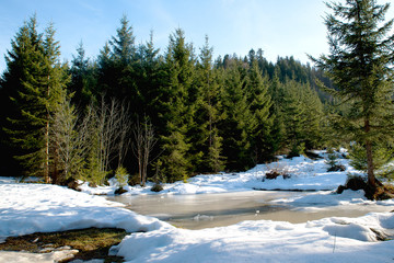 Winter Landscape in the Mountains © pic3d