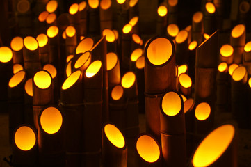 竹灯籠の灯り