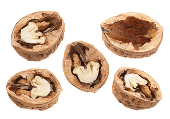 Walnut fruit closeup collection