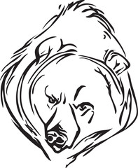 лик медведя