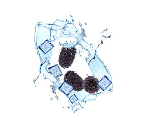 Water splash with fruits isolated on white backgroud. Fresh blackberries