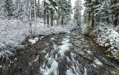 Fototapeta na wymiar view on the bridge,scenic view of Narada falls on snow day in mt Rainier NP,WA,USA.