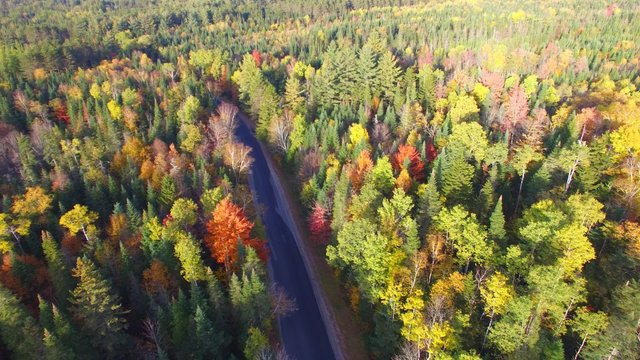 New England. Beautiful aerial view of fall foliage