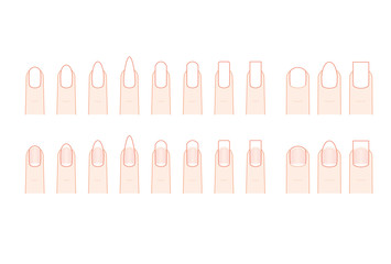 手の爪のネイルの形