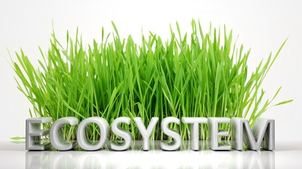 Green grass with Ecosystem 3D text, isolated on white background.