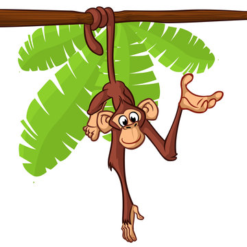 Cute monkey hanging on the tree branch with his tail