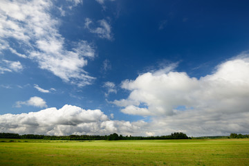 Fototapeta na wymiar Green field against blue sky and clouds
