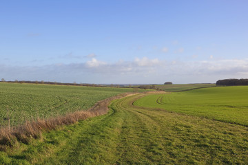 open countryside