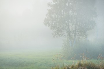 Obraz na płótnie Canvas Morning fog above the field