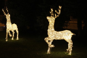 Glowing Santa's reindeer © watcherfox