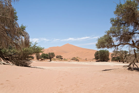 Dead Vlei is located near Sossusvlei in the Namib Naukluft National Park, Namibia