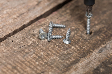 Group of screws