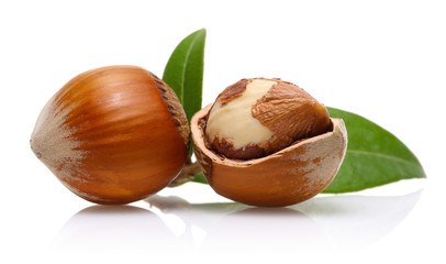 Hazelnuts