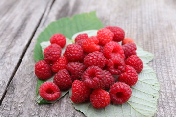 Scattering of the fresh-picked forest raspberries (Rubus idaeus) lying on the raspberry leaves