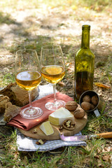 Beautiful composition of white wine, cheese, nuts and bread on the ground in the park
