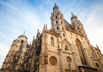 Fototapeta na wymiar St. Stephen Cathedral or Stephansdom in Vienna