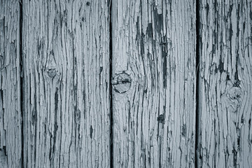 Fragment of a texture of  an old painted weathered wooden door