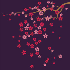 Cherry Flowers background. Vector