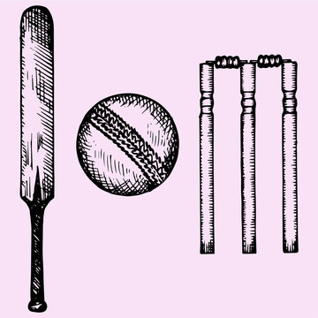 Set of equipment for cricket: bat, ball, wicket, doodle style, sketch illustration, hand drawn, vector