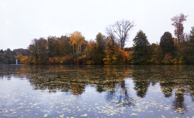 Lake in the autumn park