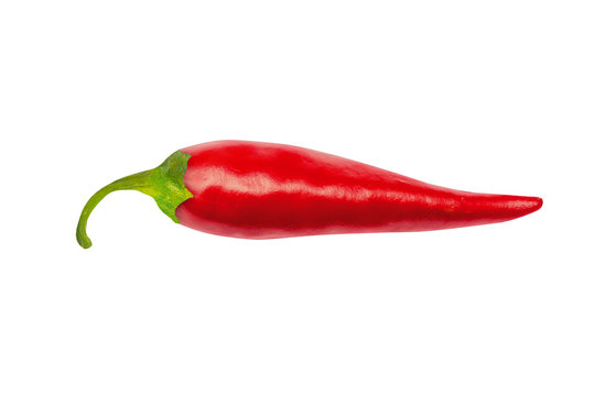 One red hot chili pepper, with clipping path