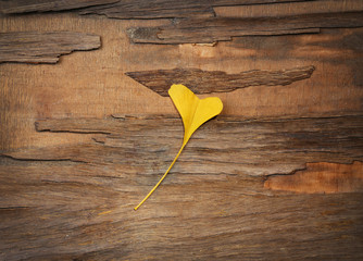 Fototapeta na wymiar Autumn leaf like a heart on wooden background