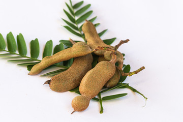 Fototapeta premium fresh tamarind on leaf