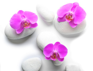 Fototapeta na wymiar White spa stones and orchids isolated on white