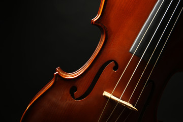 Violin on dark background