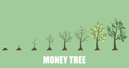 Growing Money Tree in progress