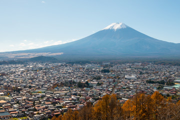 Fuji & the City