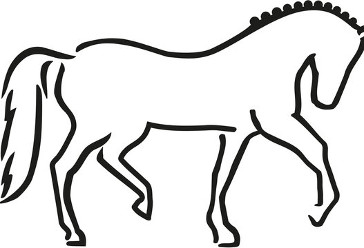 Dressage horse sketch style
