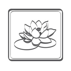 lotus icon in gray