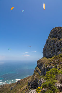 Catching the updrafts at Lion's Head