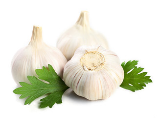 Garlic with leaves of parsley isolated on white