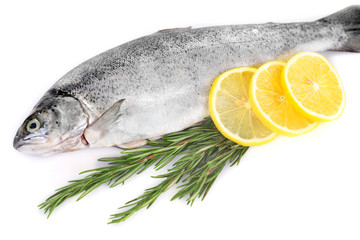 Fresh sea fish with lemon and rosemary isolated on white background