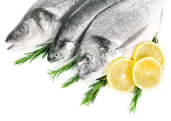 Fresh fish in a row with lemon and rosemary isolated on white background