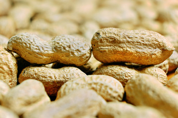 Macro peanut with peanuts in the background