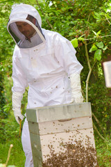 busy beekeeper