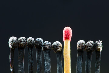 Row of burned matches with single whole match.