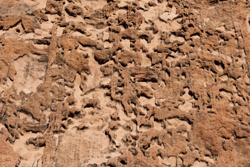 Namibia Afrika Twyfelfontain Epuwo