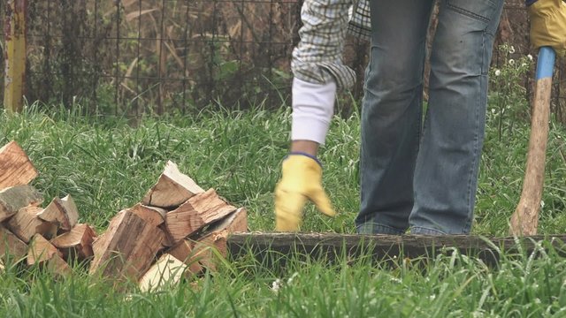 Lumberjack cutting firewood with axe in backyard